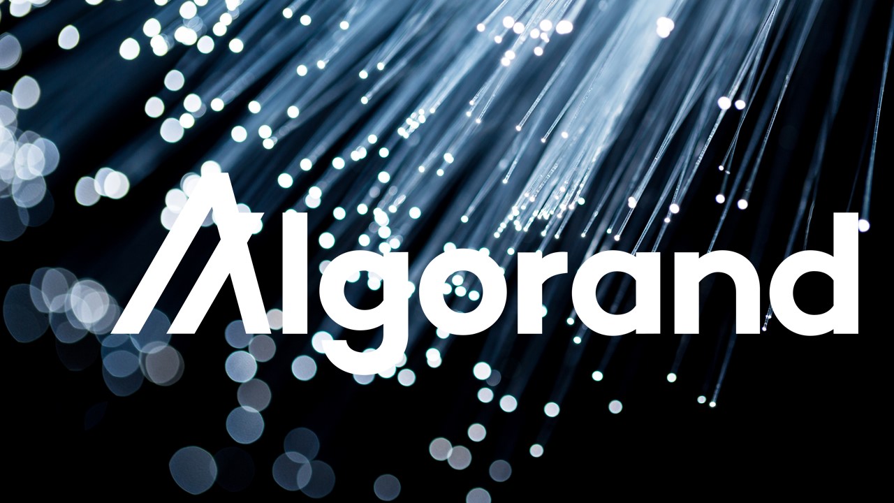 Algorand Nedir? 2022 İçin Yeterli Bir Altcoin Yatırımı Mı?