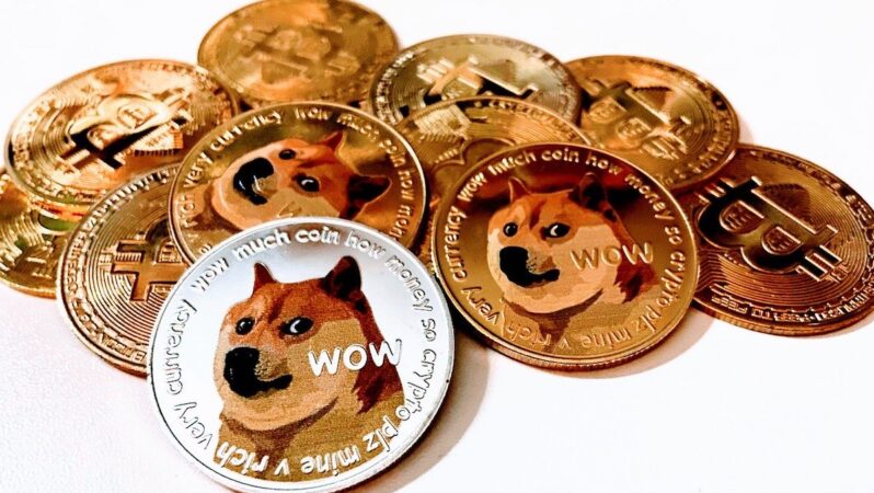 Bu 14 Göğüs Coin, Dogecoin’i Gölgede Bıraktı!