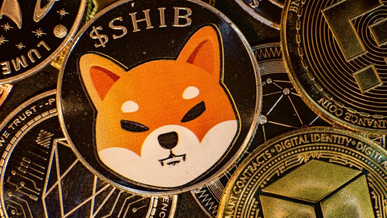 Dikkat: Binance’den Shiba Inu ve Bu 9 Altcoin İçin Kıymetli Duyuru!