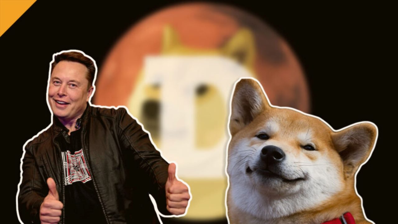 Elon Musk Tweet Attı: Dogecoin İçin Bu Tarihe Dikkat!