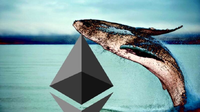 Ethereum Balinaları Portföylerini Açtı: Bu 11 Coin Var!