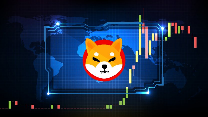 SHIB, DOGE, MANA ve AXS: 3 Analist Bu Düzeyleri Bekliyor!