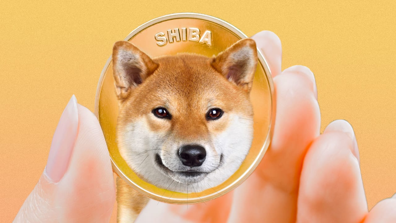 Shiba Inu’dan Büyük Duyuru: DoggyDAO Lansmanı!