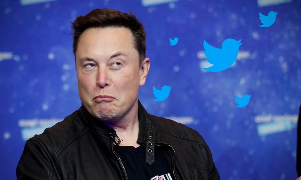 Tweet Attı: Elon Musk’un Yeni Favorisi Bu Göğüs Coin Mi?