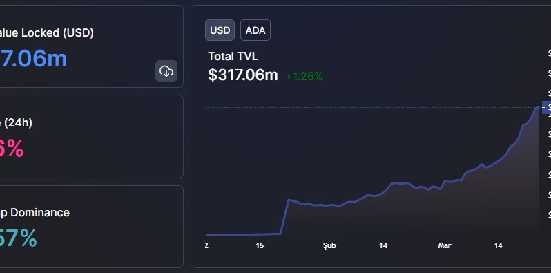 Analist: MANA ve Bu 9 Altcoin, Büyük Patlamalara Hazırlanıyor!