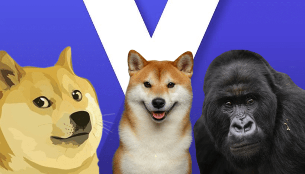 ApeCoin, Dogecoin ve MANA: Bu Düzeylere Hazır Olun!