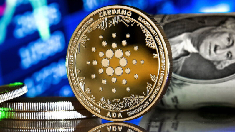 Cardano Mucidinden Kıymetli Açıklamalar: Sırrımız Yok!