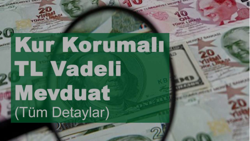 Doç. Dr. Murat Batı yazdı: Kur garanti ödemeleri “kamu gideri” mi “kamunun gideri” mi?