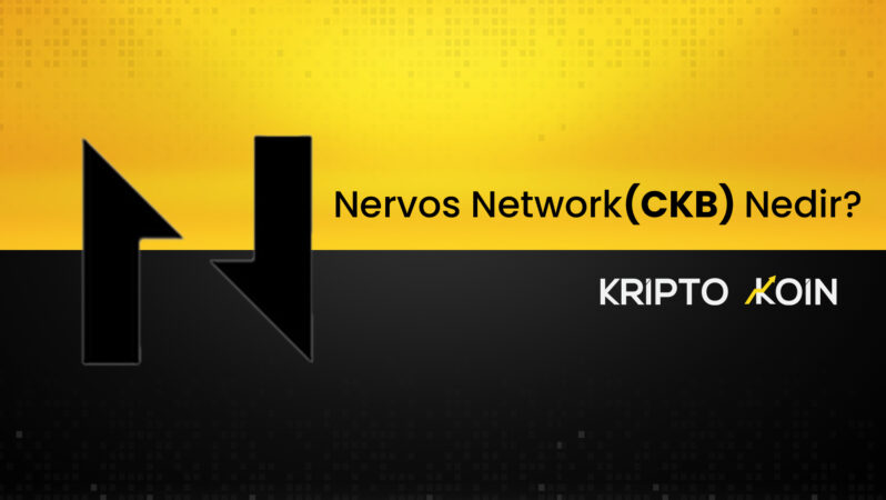 Nervos Network (CKB) Nedir?