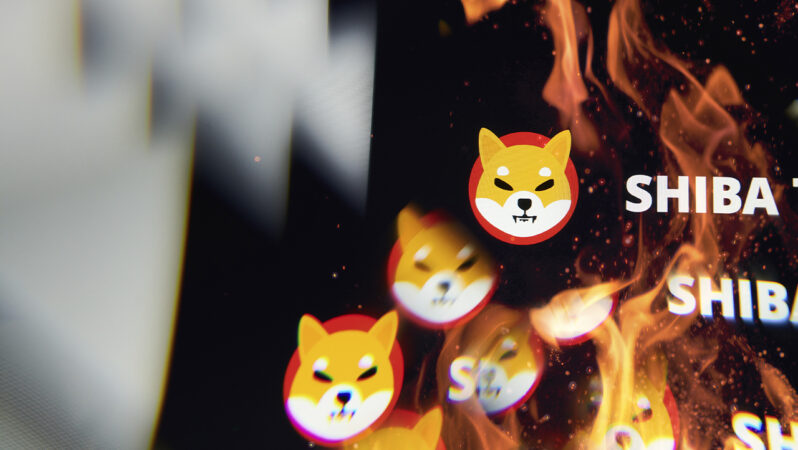 Shiba Inu Burn Yüzde 3.043 Arttı! SHIB Fiyatına Tesiri Nedir?