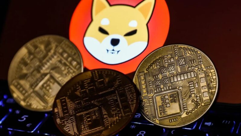 Shiba Inu ve Bu 2 Altcoin’den Müjde: Sepete Giriyor!