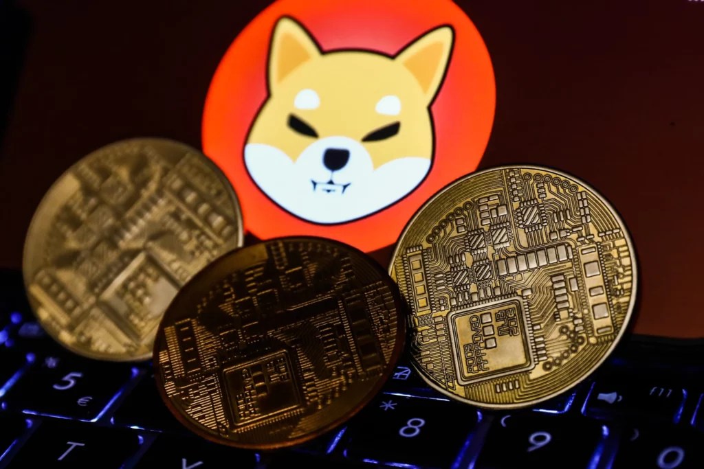 Shiba Inu ve Bu 2 Altcoin’den Müjde: Sepete Giriyor!