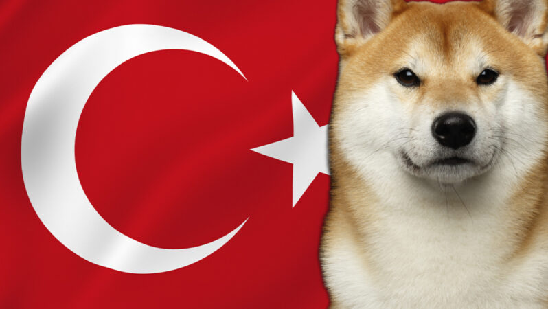 Shiba Inu’dan Bomba Türkiye Atılımı: Bakanla Görüştü!