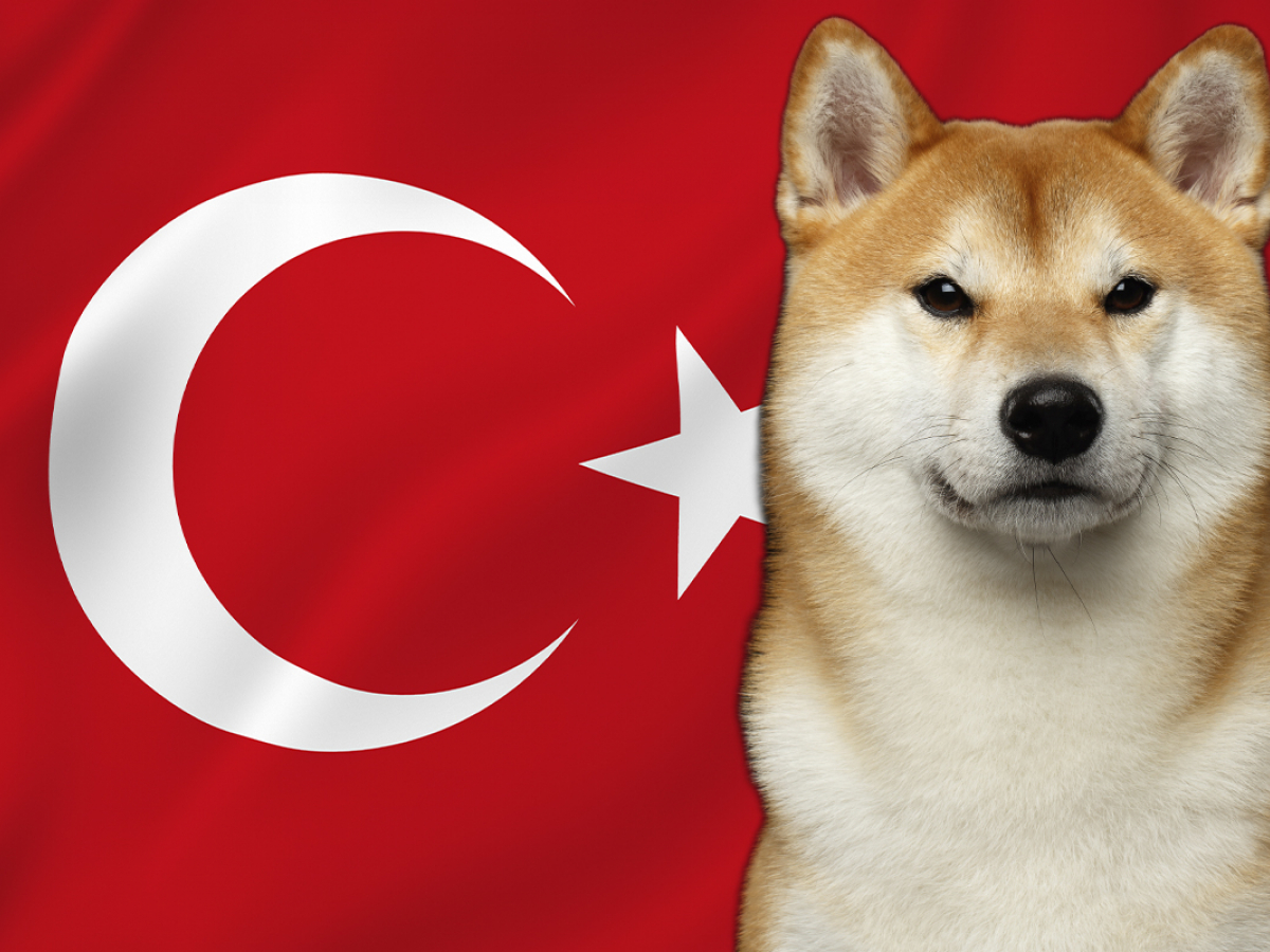 Shiba Inu’dan Bomba Türkiye Atılımı: Bakanla Görüştü!