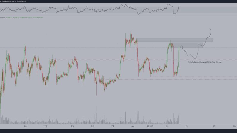 2 Efsane Analist Haziran’da Patlayacak Altcoin’leri Paylaştı!