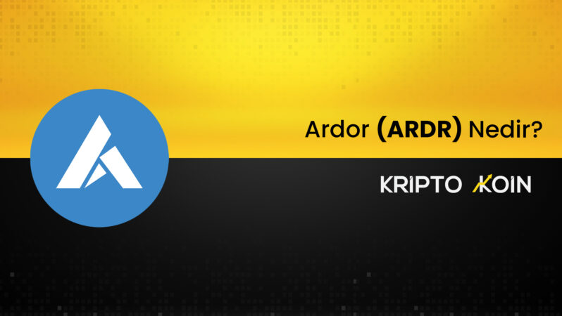 Ardor Nedir? ARDR Coin Nasıl Alınır?