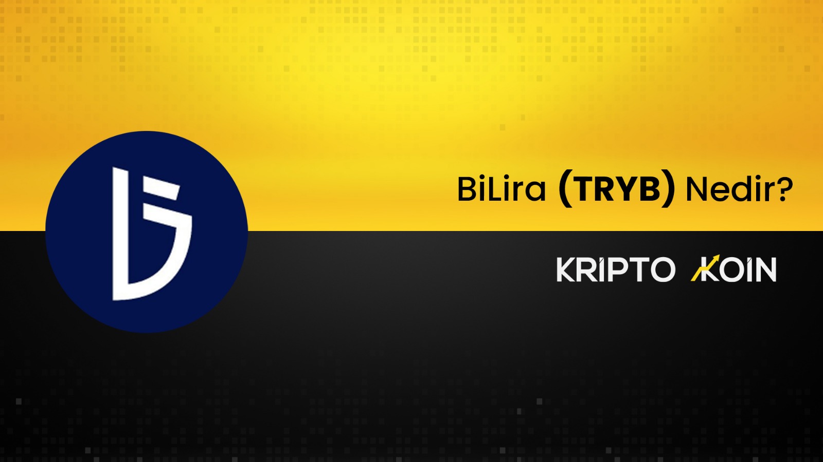 BiLira Nedir? TRYB Ne İşe Fayda?