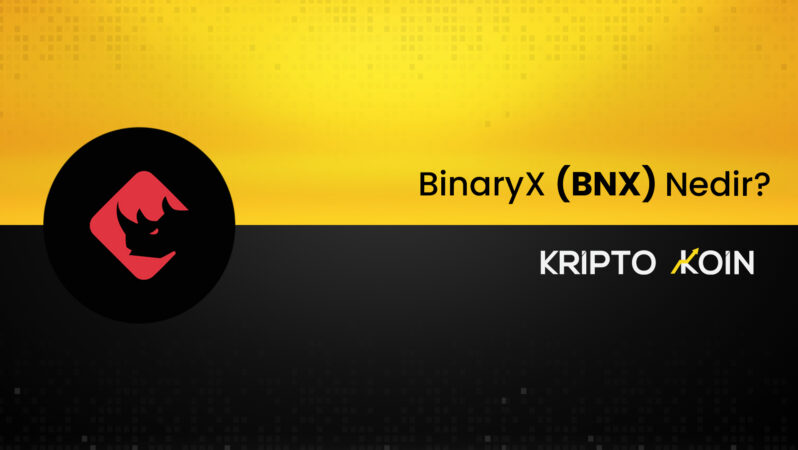 BinaryX Nedir? BNX Ne İşe Fayda?