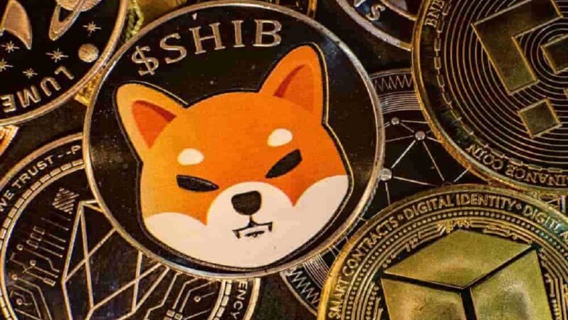 Bloomberg’den SHIB ve Bu Altcoin’ler İçin Müjdeli Haber!