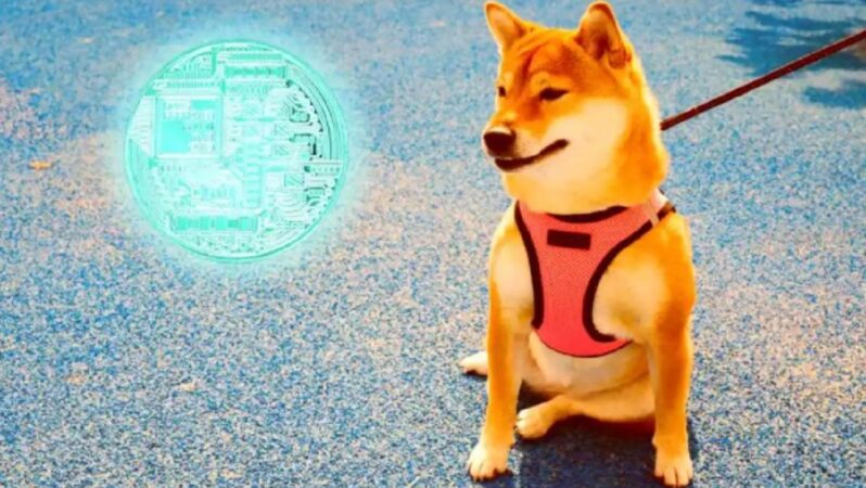 DOGE ve Bu Altcoin’e Dikkat: Hafta Sonu Volatilite Olabilir!