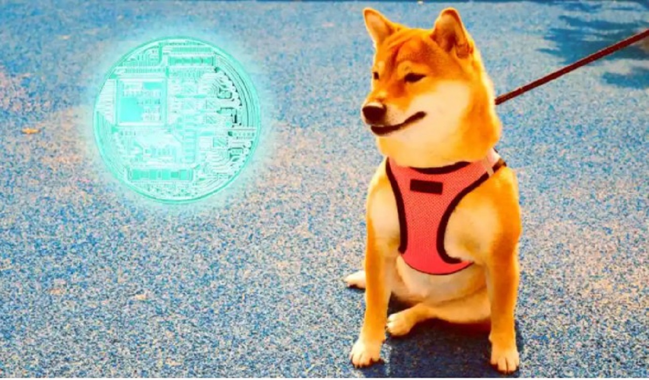 DOGE ve Bu Altcoin’e Dikkat: Hafta Sonu Volatilite Olabilir!