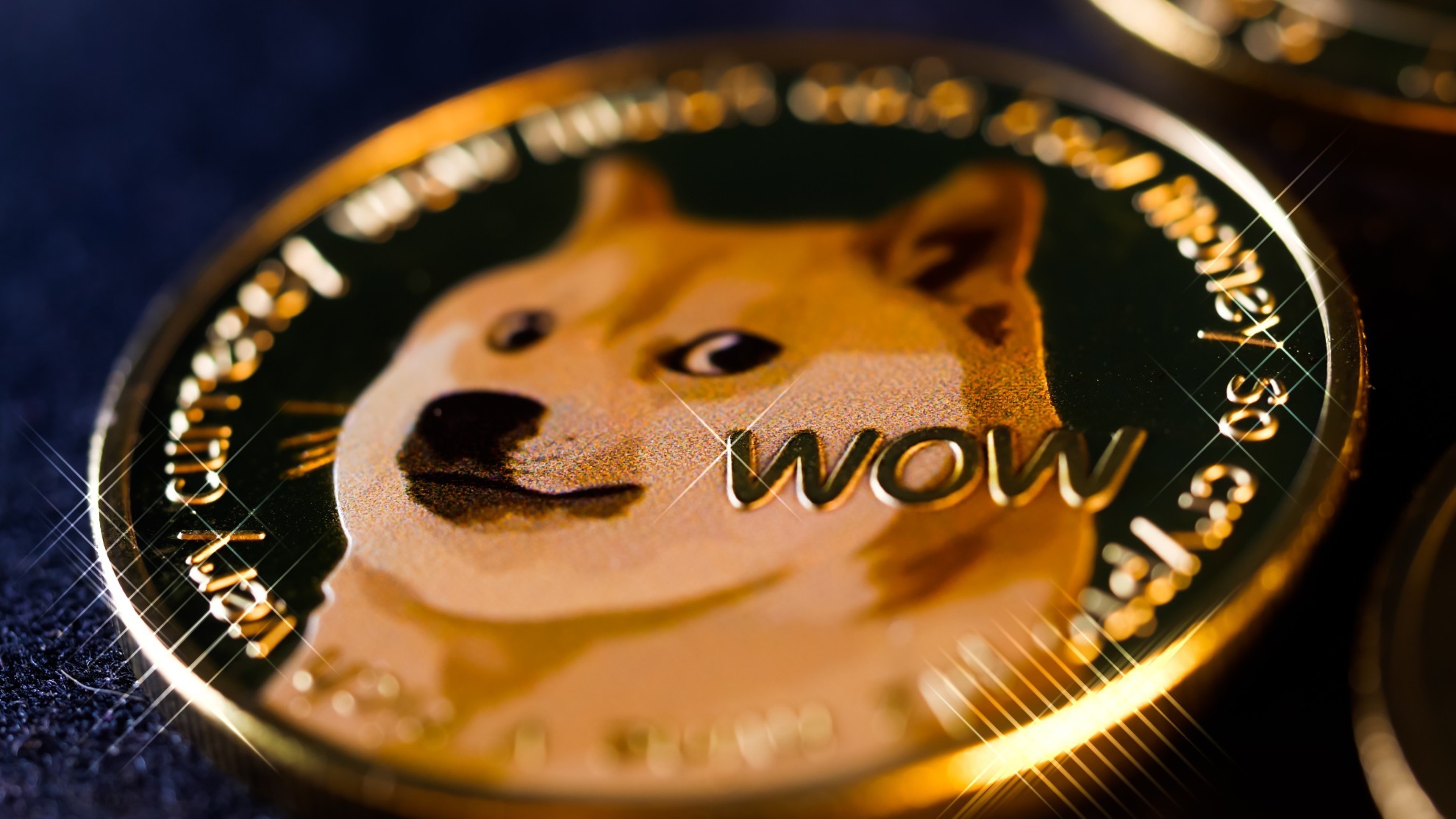 Dogecoin Kurucusu: Ayı Piyasası Bu Tarihte Bitecek!