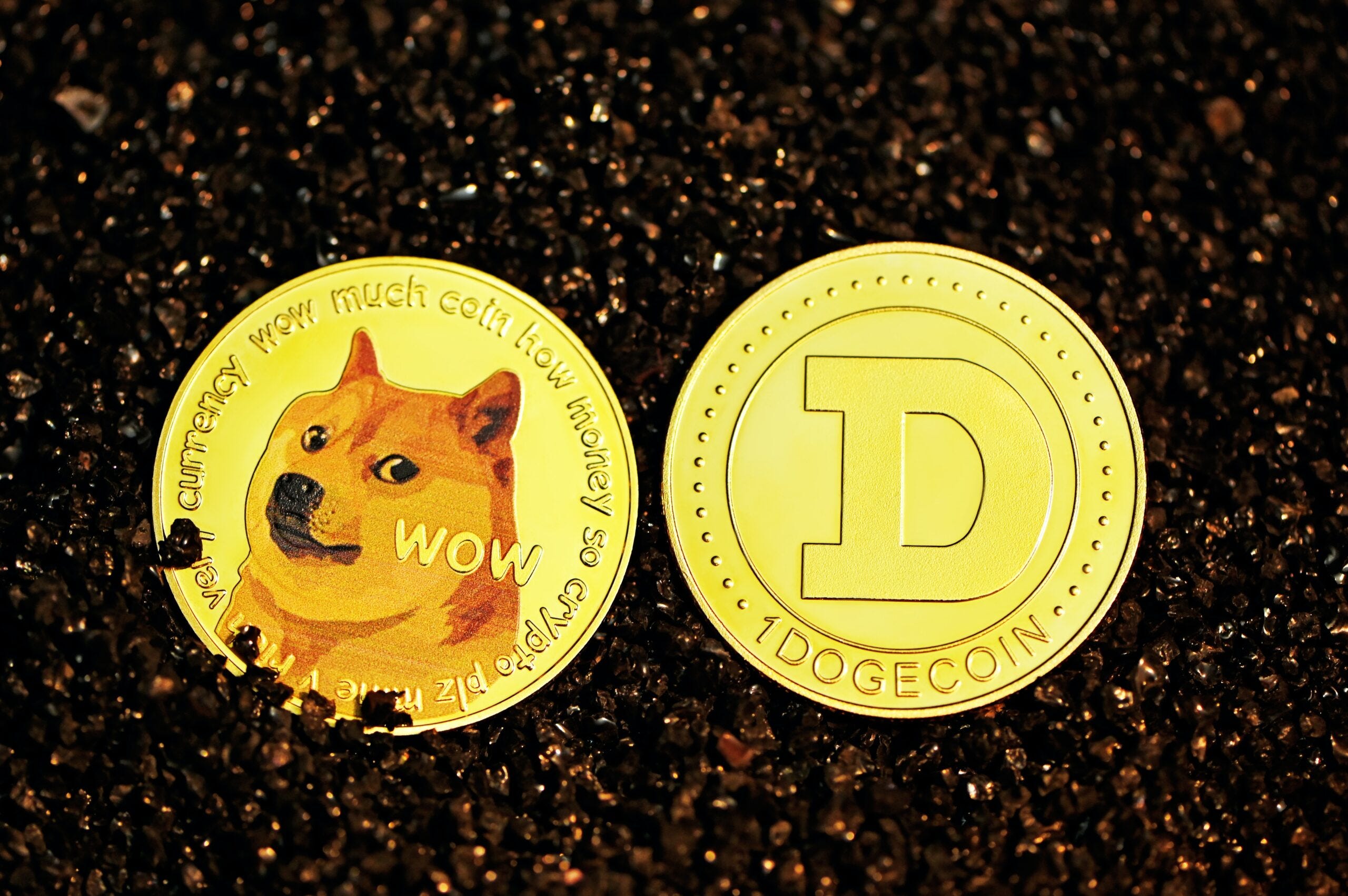 Dogecoin Mucidi Bu 2 Altcoin’e İşaret Etti: Ders Çıkarın!