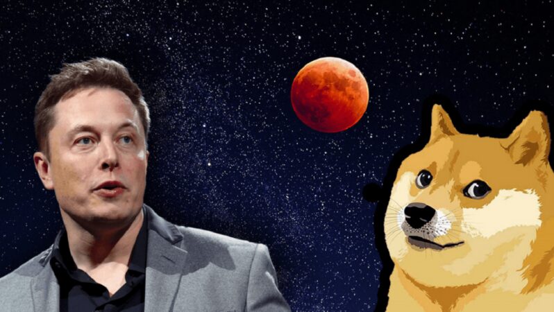 Elon Musk ve DOGE Mucidi: Çökecek Sıradaki Piyasa Bu!