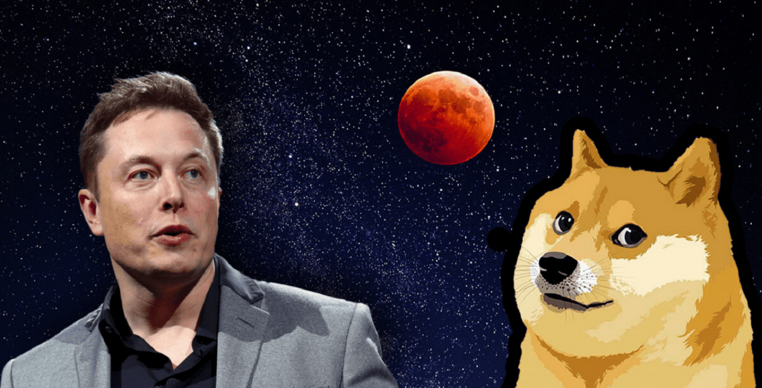 Elon Musk ve DOGE Mucidi: Çökecek Sıradaki Piyasa Bu!