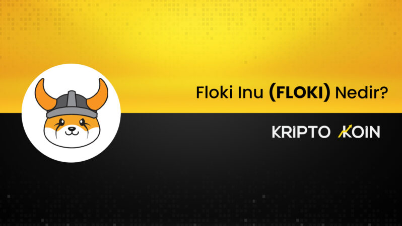 Floki Inu Nedir? FLOKI Ne İşe Fayda?