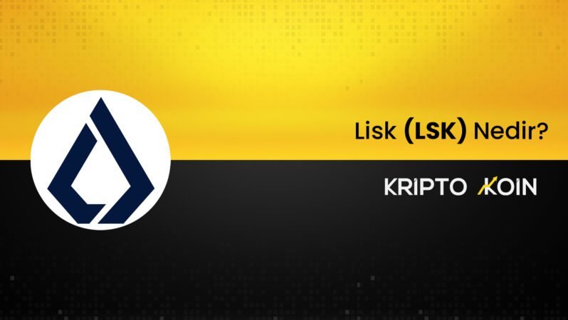 Lisk Nedir? LSK Coin Ne İşe Fayda?