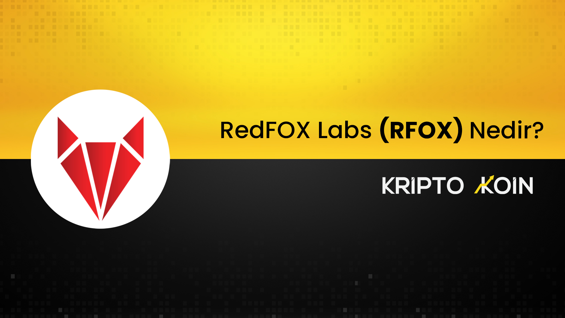 RedFOX Labs Nedir? RFOX Coin Ne İşe Fayda?