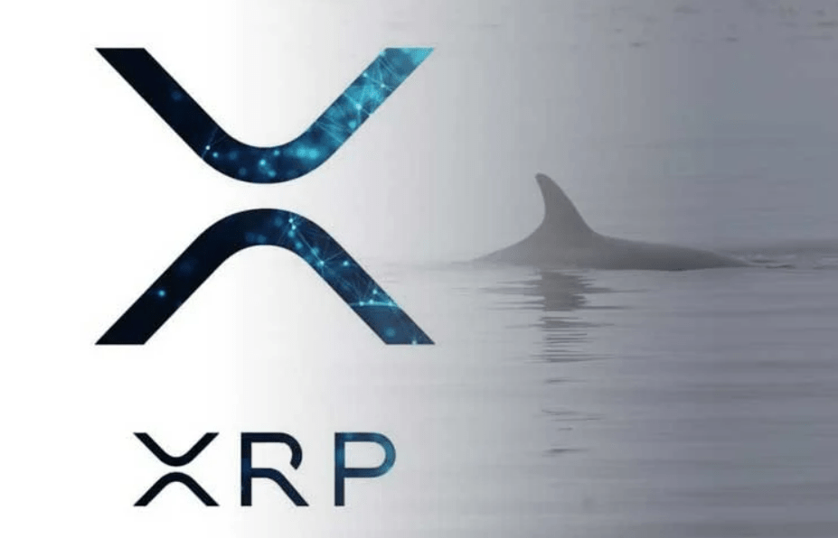 Ripple Yatırımcıları Dikkat: Balinanın 114 Milyon XRP’si Kaldı!