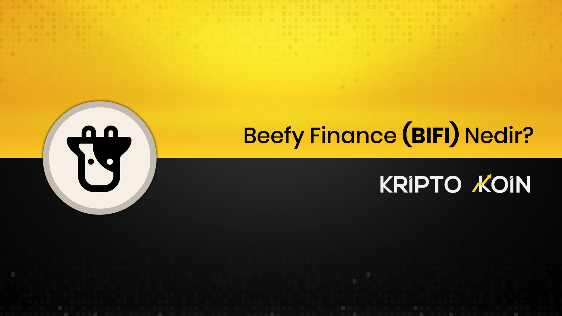 Beefy Finance Nedir? BIFI Ne İşe Fayda?