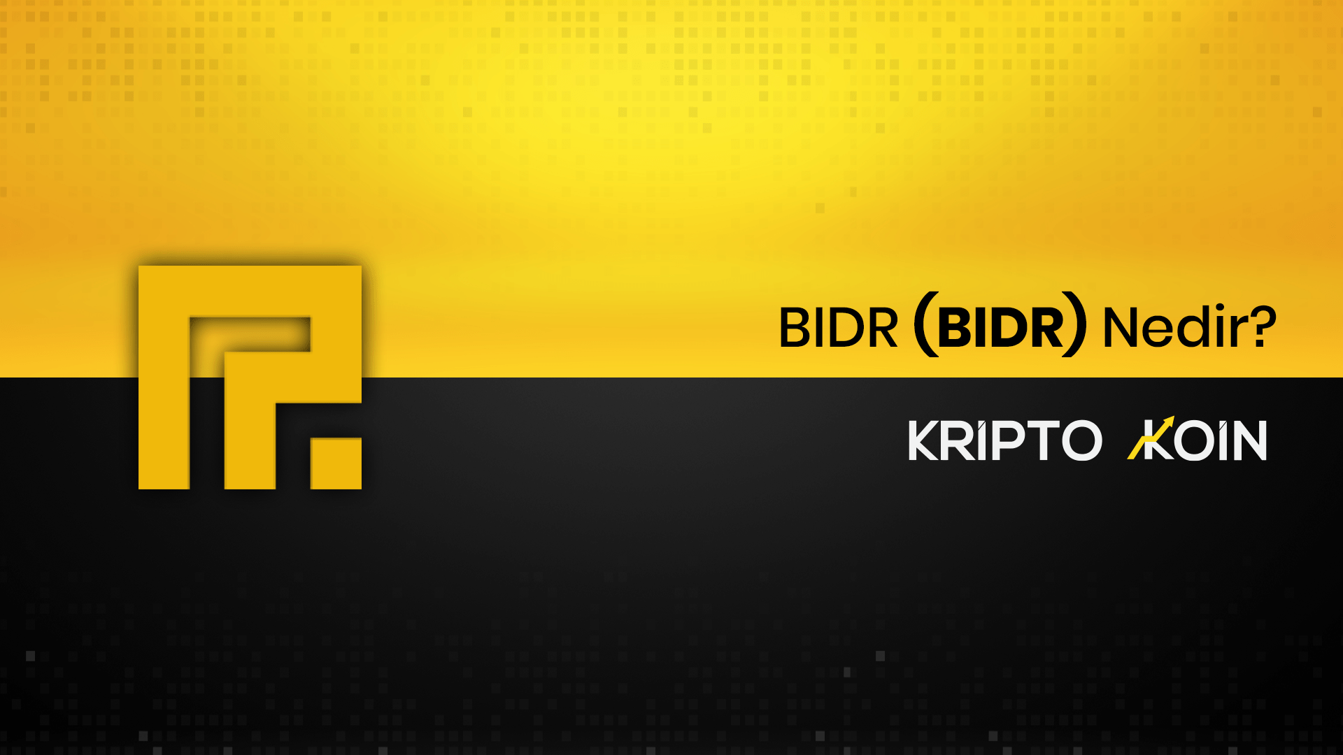 BIDR Nedir? BIDR Coin Ne İşe Fayda?