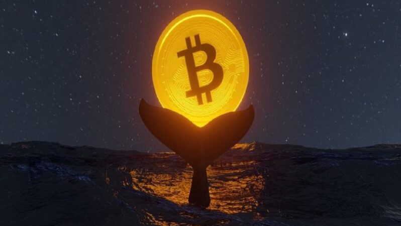 Bilgiler Şaşırttı! Bu Devasa Bitcoin Balinası, Satış Mı Yapıyor?