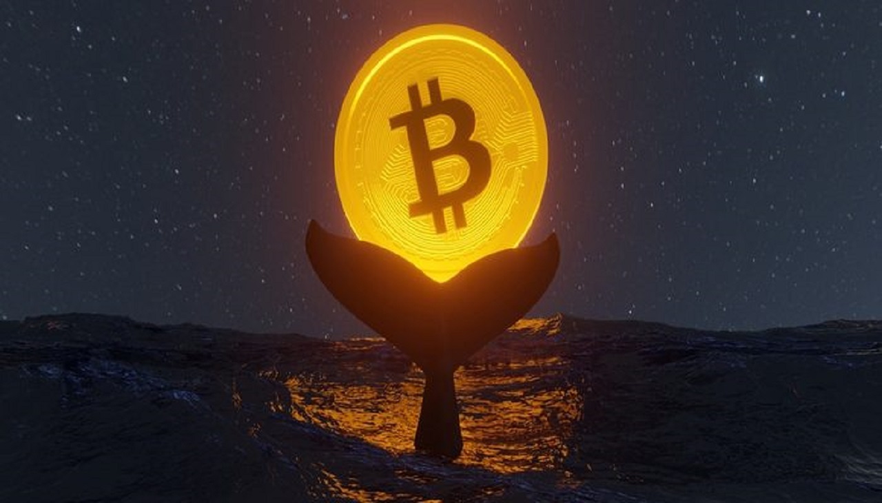 Bilgiler Şaşırttı! Bu Devasa Bitcoin Balinası, Satış Mı Yapıyor?