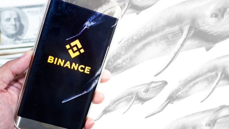 Binance Balinaları Avda: RACA ve Bu Altcoinleri Alıyorlar!