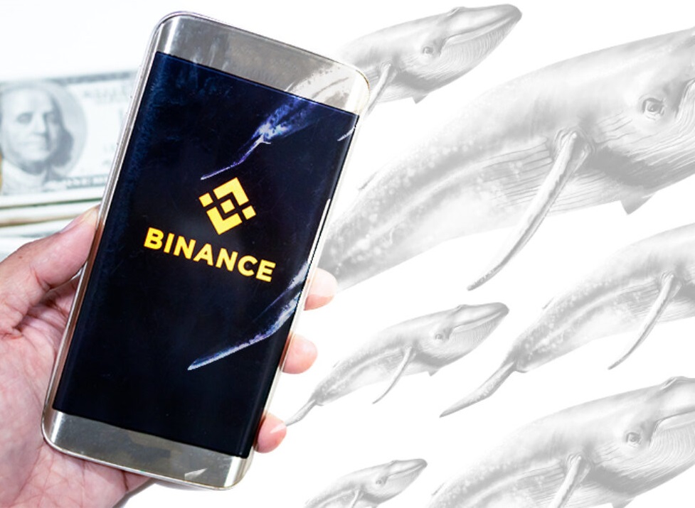 Binance Balinaları Avda: RACA ve Bu Altcoinleri Alıyorlar!