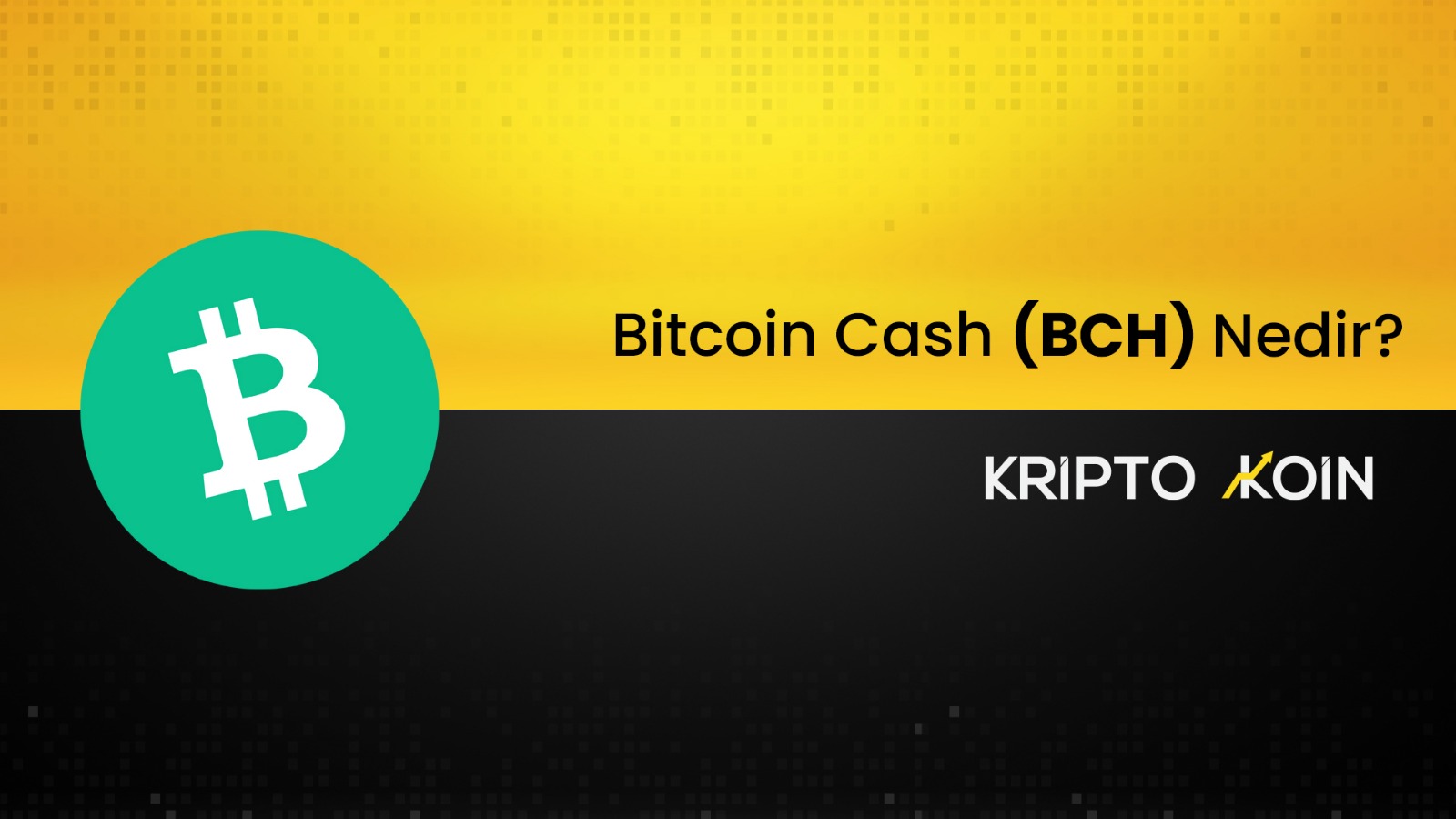 Bitcoin Cash Nedir? BCH Ne İşe Fayda?