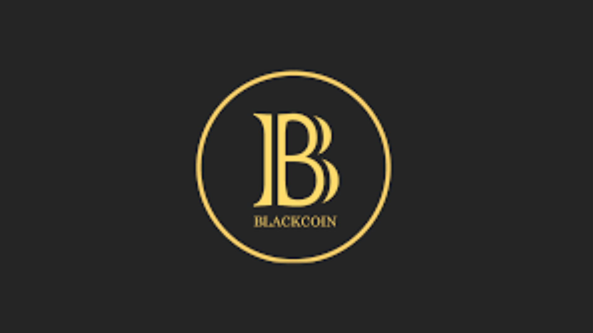 BlackCoin Nedir? BLK Coin Ne İşe Fayda?