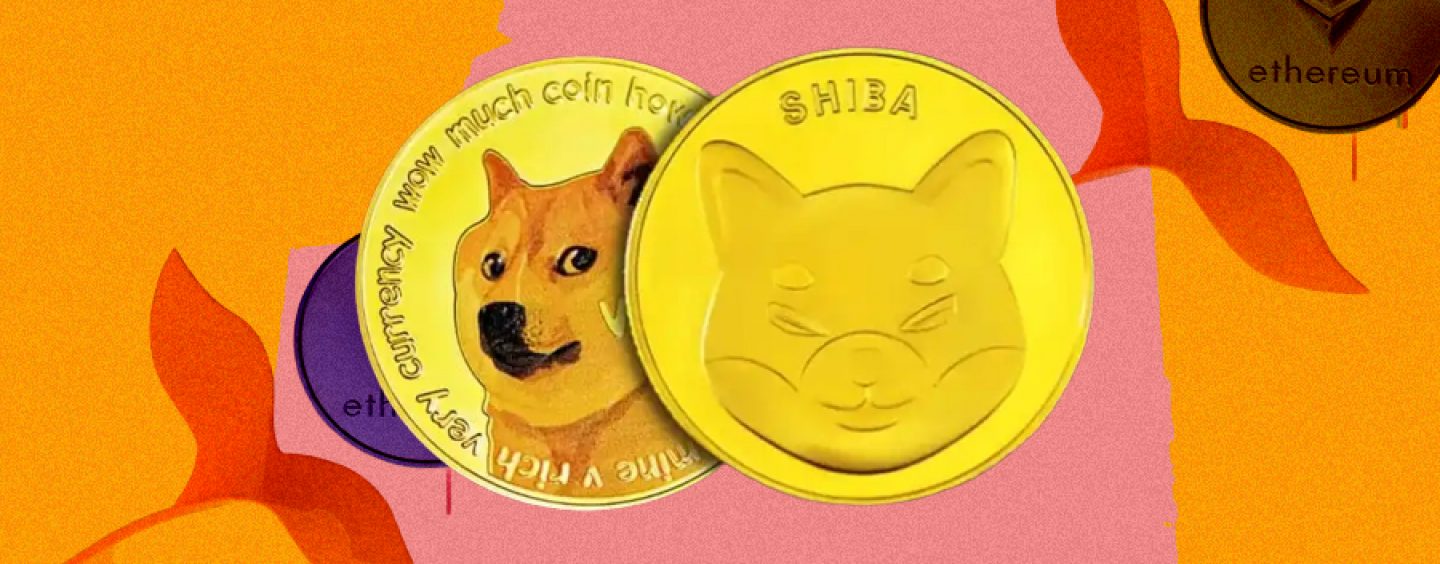 Çöküşte SHIB ve DOGE Balinaları, Bu Altcoin’lerden Alıyor