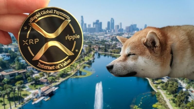 Haftalık DOGE ve Ripple Kestirimi: Bu Düzeylere Hazırlanın!