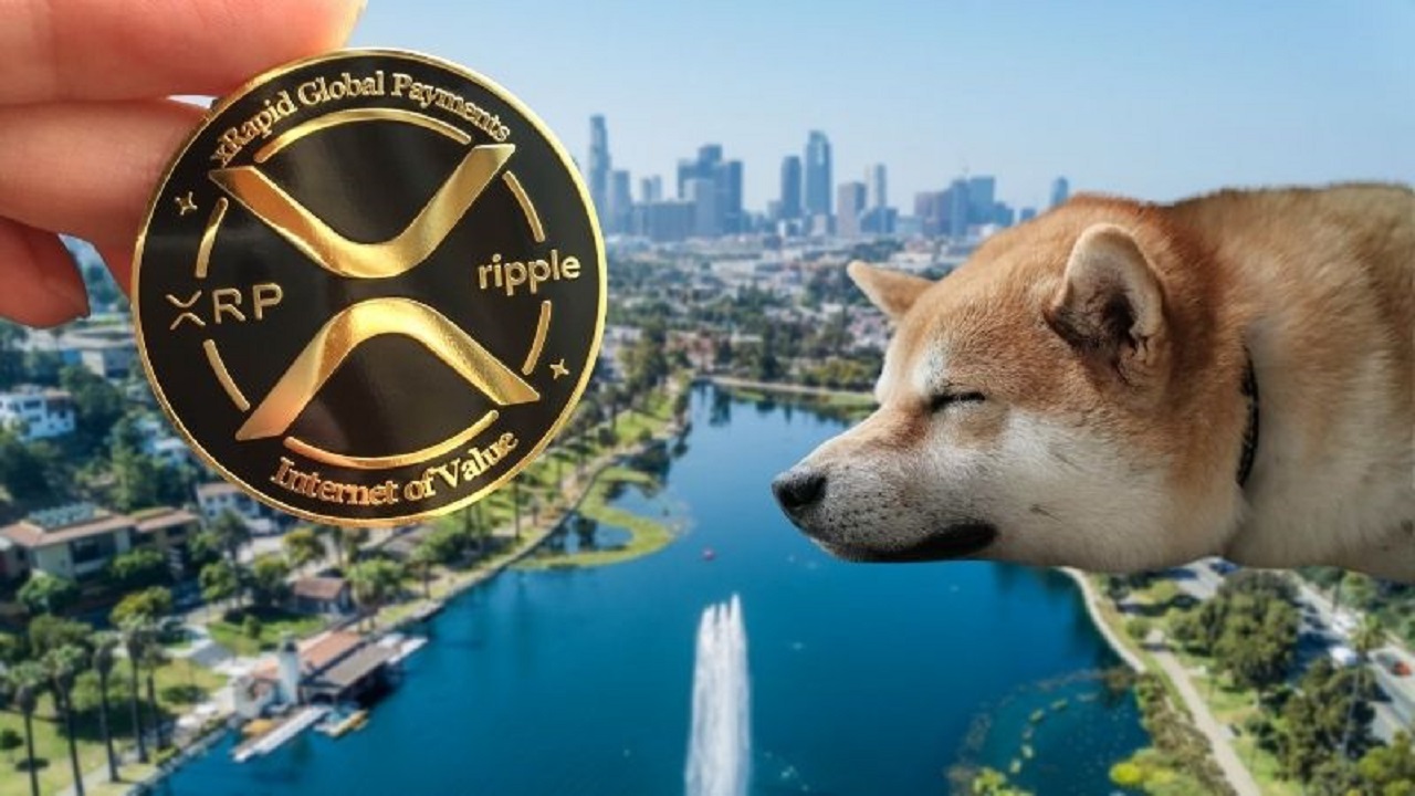 Haftalık DOGE ve Ripple Kestirimi: Bu Düzeylere Hazırlanın!