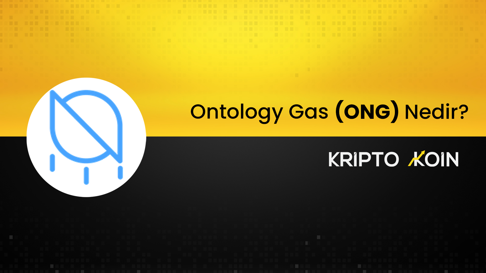 Ontology Gas Nedir? ONG Coin Ne İşe Fayda?