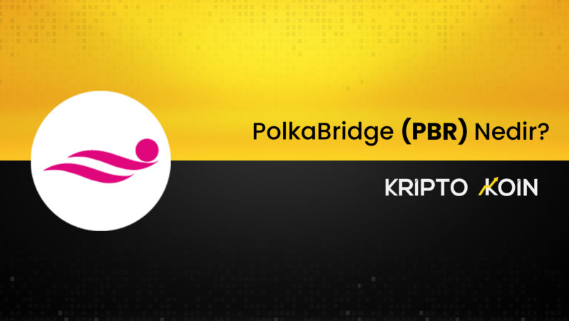 PolkaBridge Nedir? PBR Coin Ne İşe Fayda?