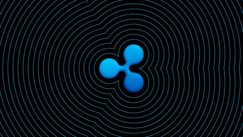 Ripple CEO’su Son XRP Yorumlarına Üzücü Kızdı: Kanunsuz!