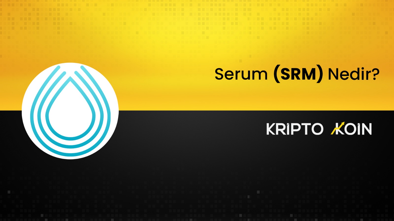 Serum Nedir? SRM Coin Ne İşe Fayda?