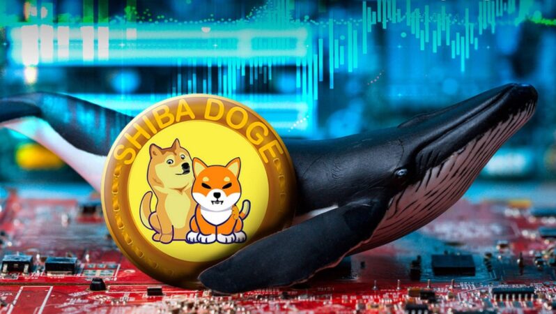 SHIB ve DOGE Balinalarının Zulaları Bu Altcoin’lerle Dolu