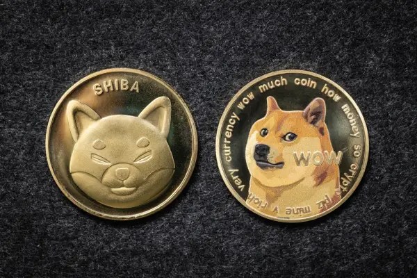 SHIB ve DOGE: Kısa Vadede Bu Düzeylere Hazırlanın!